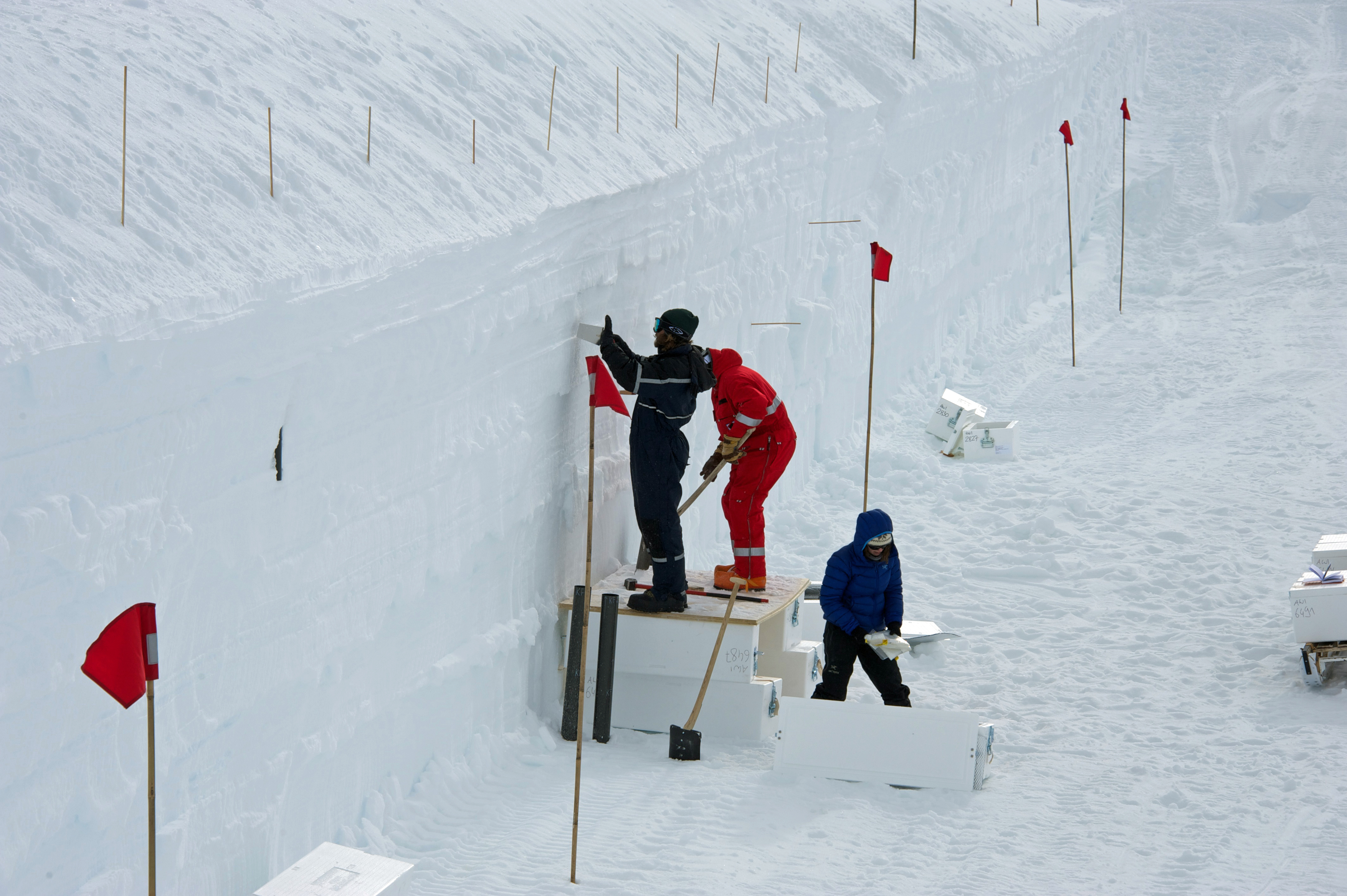 The opportunity is used to sample snow and firn from the freshly cut walls.